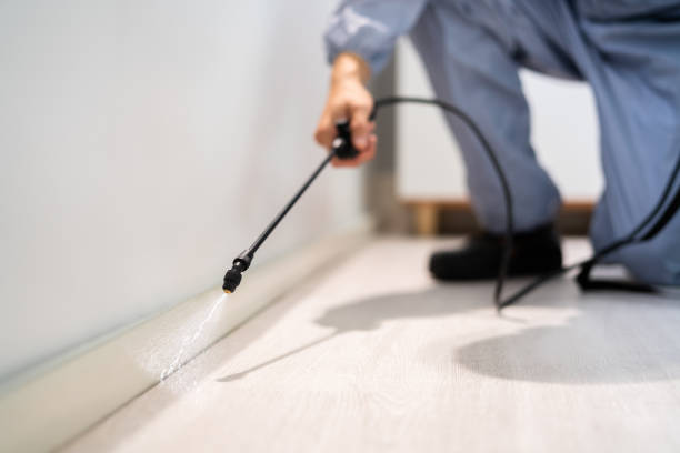 Licensed Termite Control service in Guernsey County County, OH - Nex Pest Control