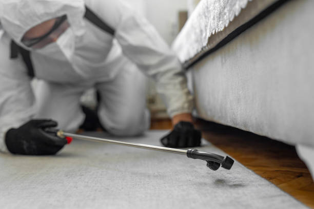 Professional Termite Control technician working in Guernsey County County, OH